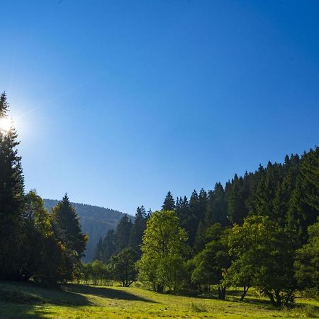 The Conscious Farmer Bed And Breakfast Sauerland ヴィリンゲン エクステリア 写真