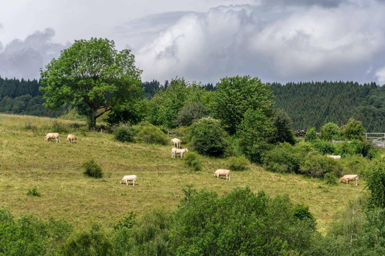 The Conscious Farmer Bed And Breakfast Sauerland ヴィリンゲン エクステリア 写真