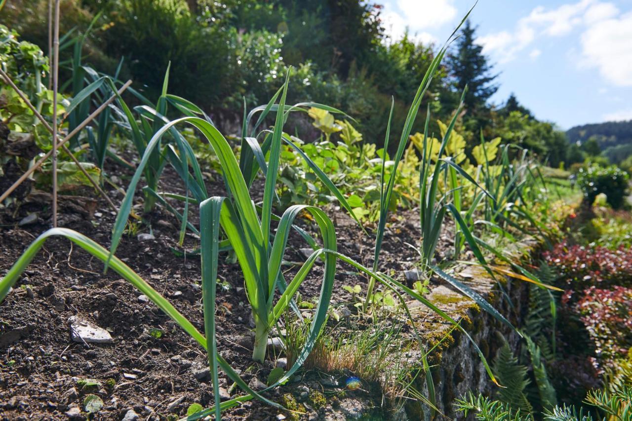 The Conscious Farmer Bed And Breakfast Sauerland ヴィリンゲン エクステリア 写真