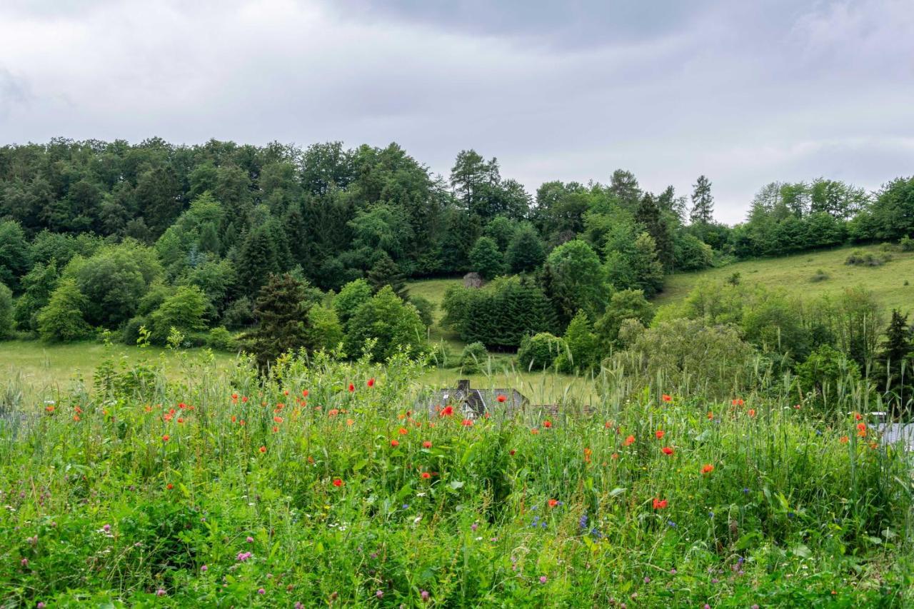 The Conscious Farmer Bed And Breakfast Sauerland ヴィリンゲン エクステリア 写真