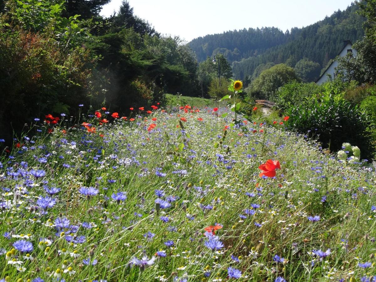 The Conscious Farmer Bed And Breakfast Sauerland ヴィリンゲン エクステリア 写真