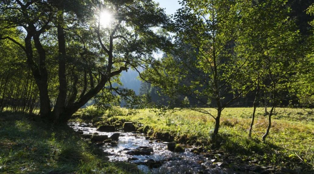 The Conscious Farmer Bed And Breakfast Sauerland ヴィリンゲン エクステリア 写真