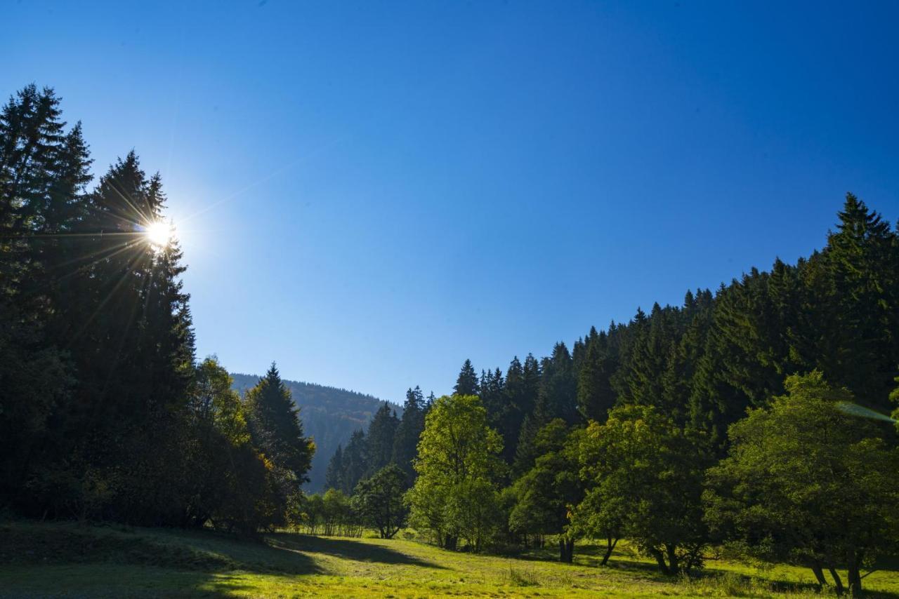 The Conscious Farmer Bed And Breakfast Sauerland ヴィリンゲン エクステリア 写真