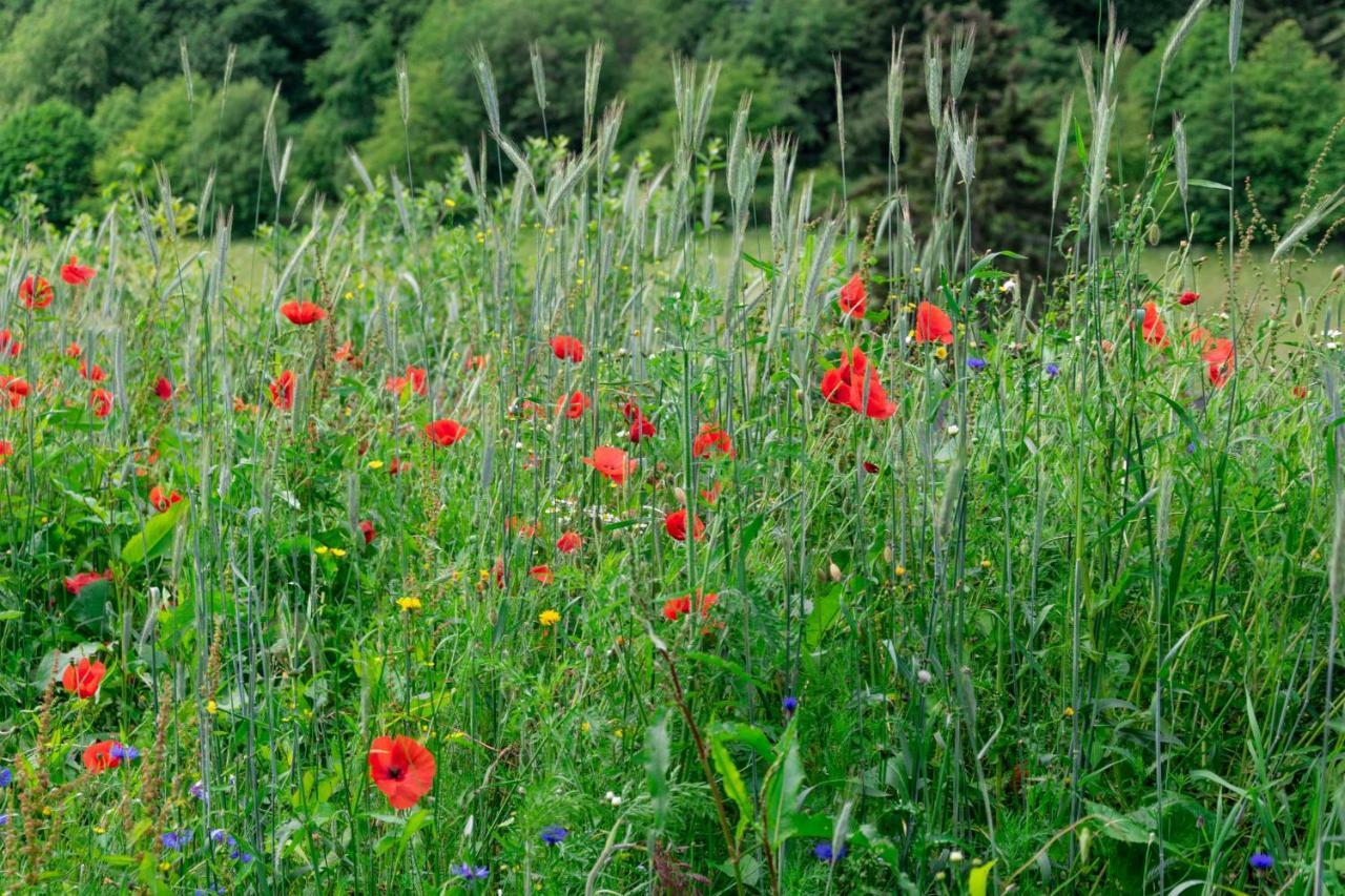 The Conscious Farmer Bed And Breakfast Sauerland ヴィリンゲン エクステリア 写真