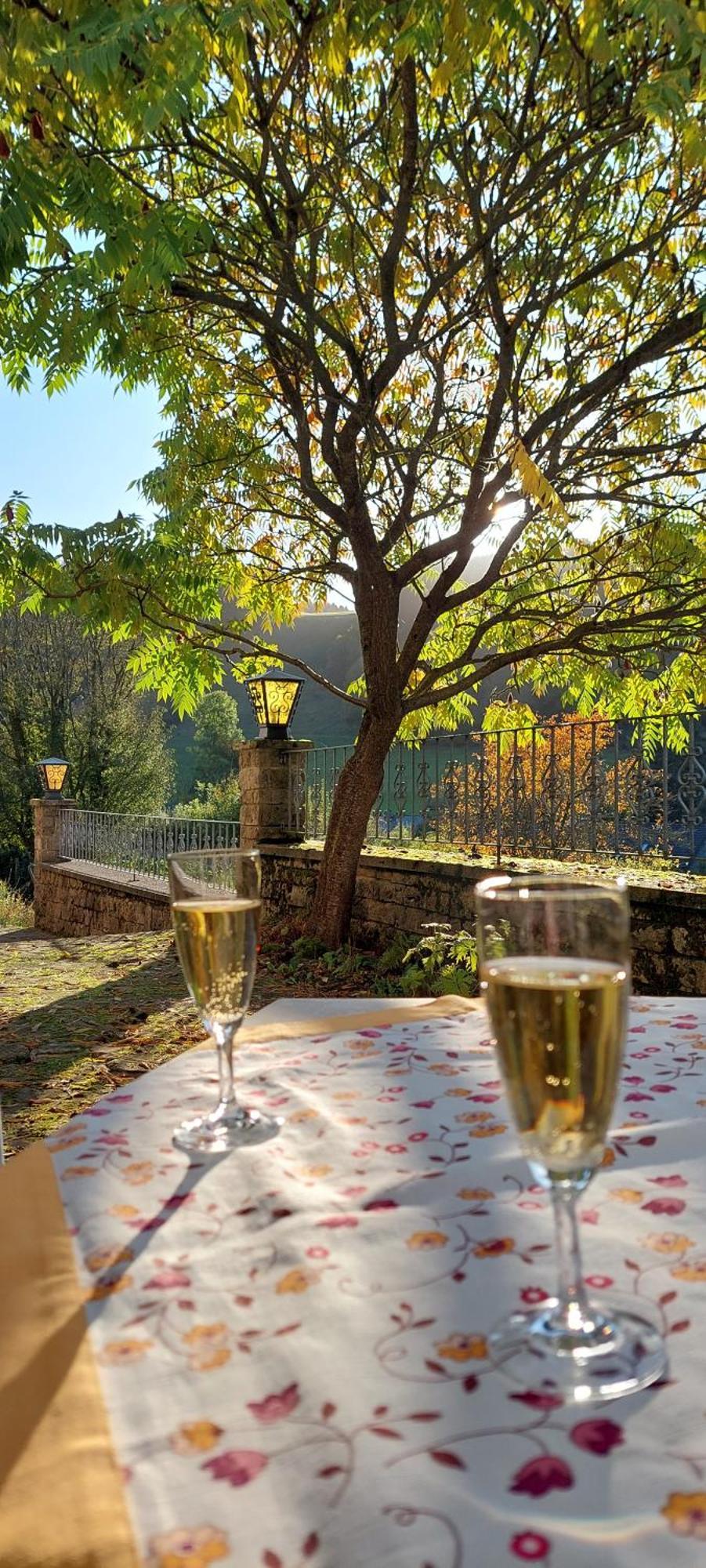 The Conscious Farmer Bed And Breakfast Sauerland ヴィリンゲン エクステリア 写真